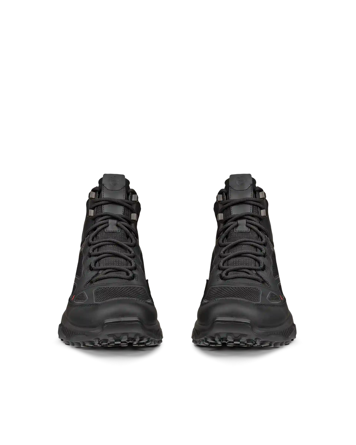 ECCO Receptor Xp