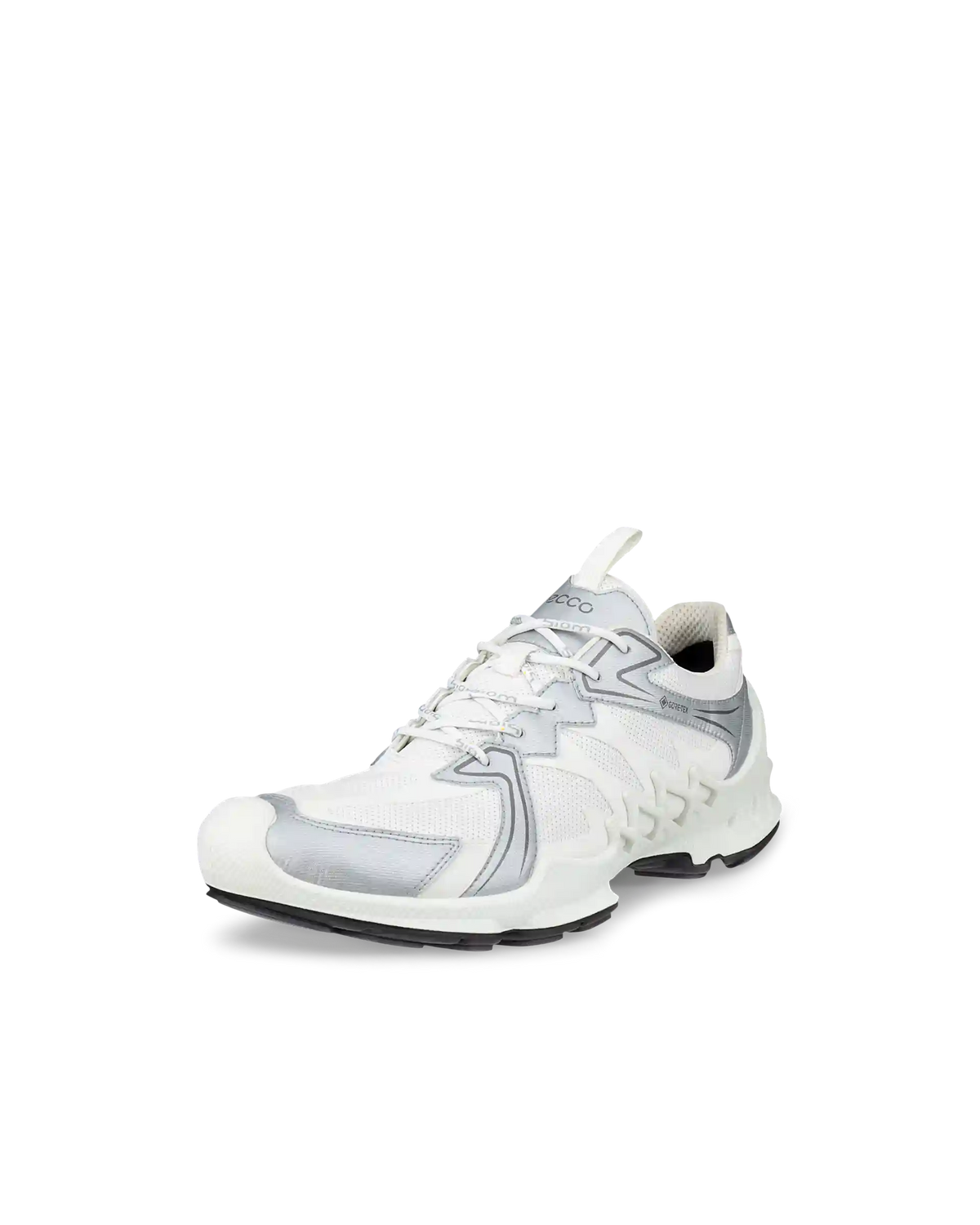 ECCO Biom Aex