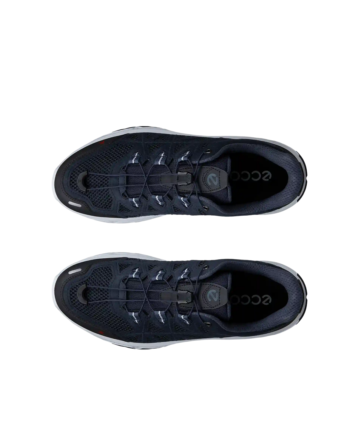 ECCO Receptor XP
