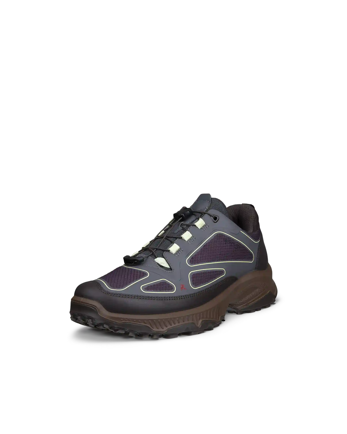 ECCO Receptor Xp