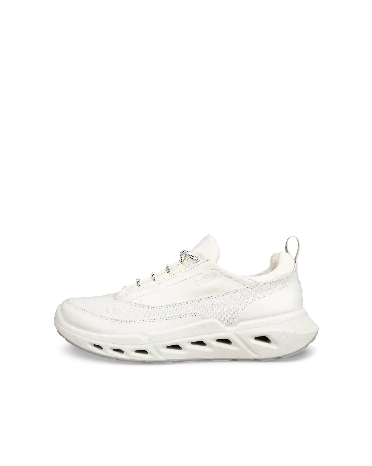 ECCO Biom 720 Gore-Tex