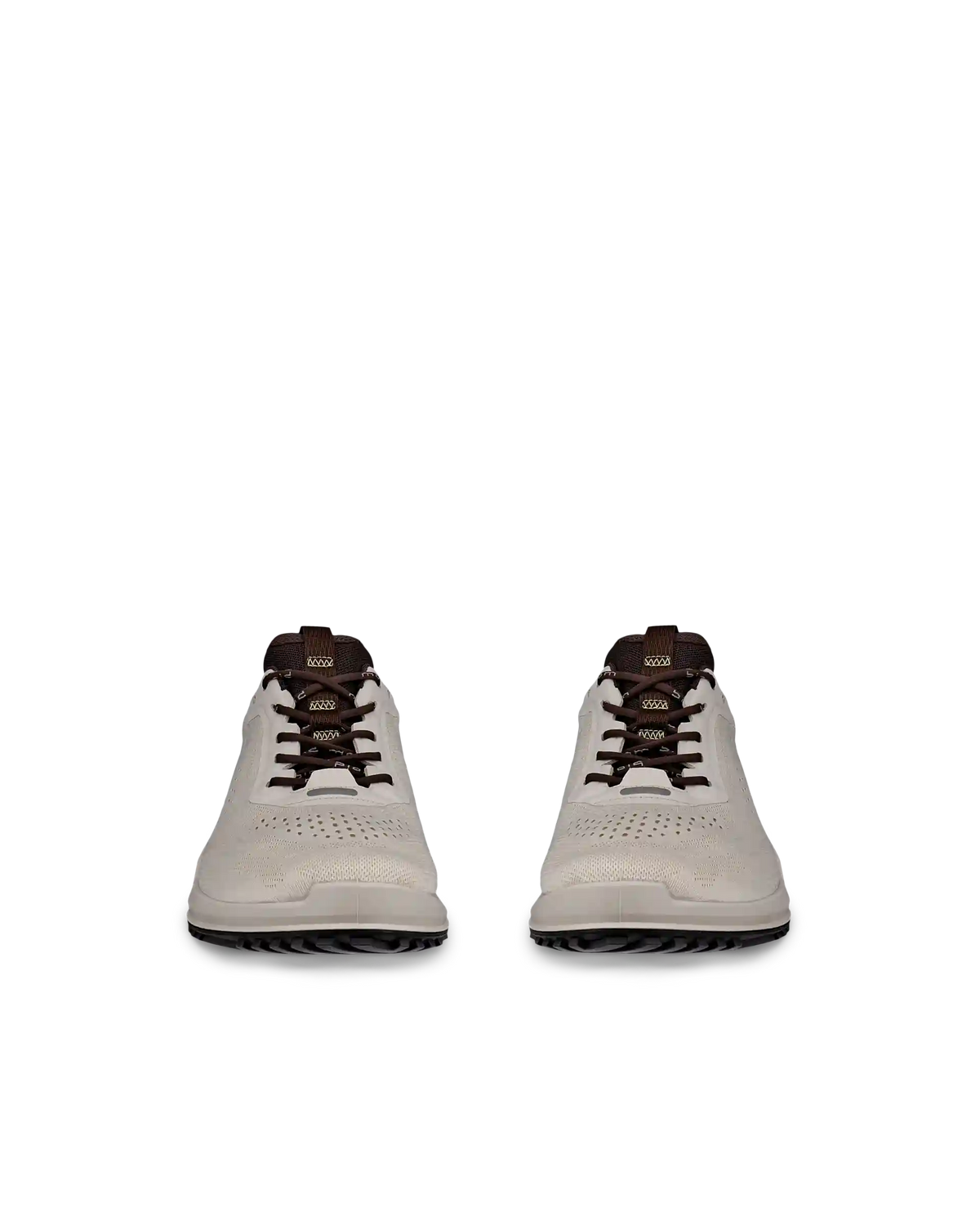 ECCO Biom 2.0