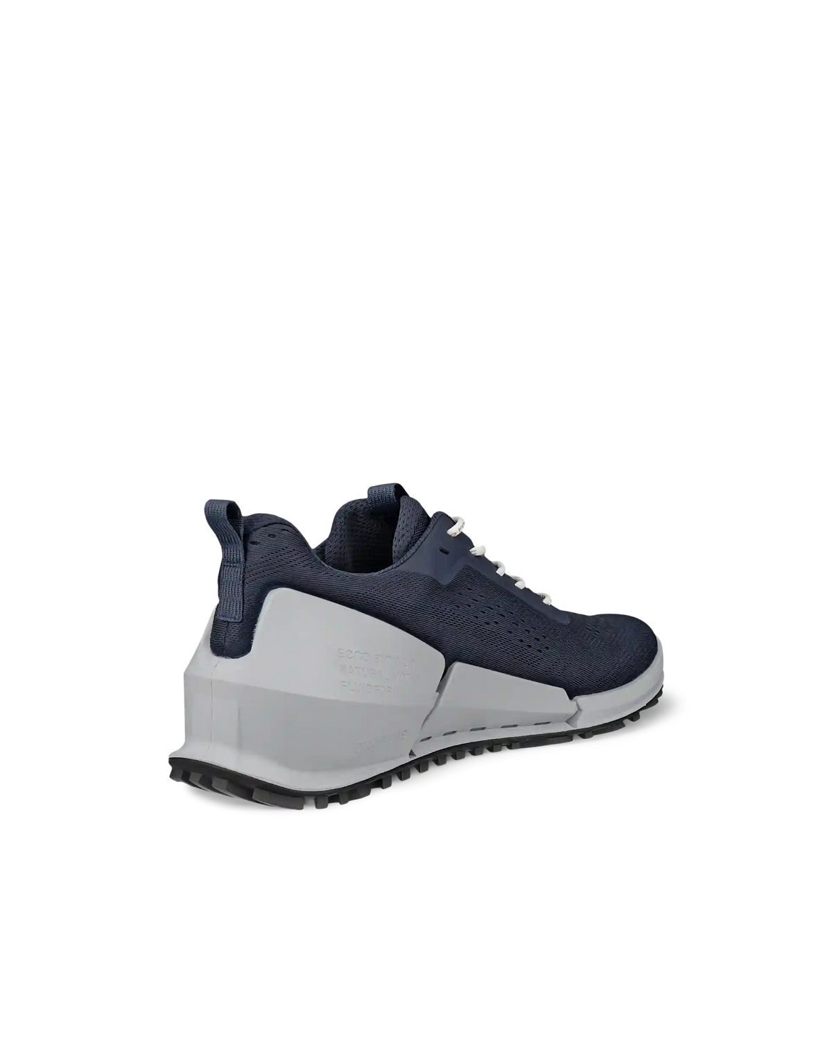 ECCO Biom 2.0
