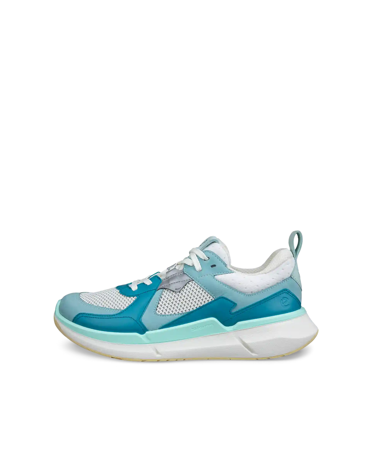 ECCO Biom 2.2