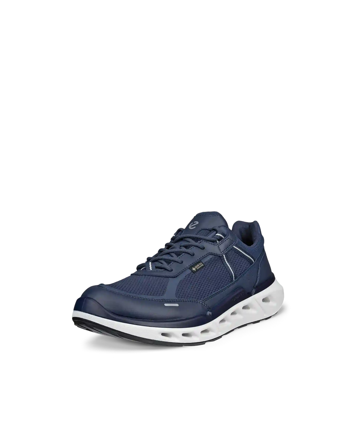 ECCO Biom 720 Gore-Tex