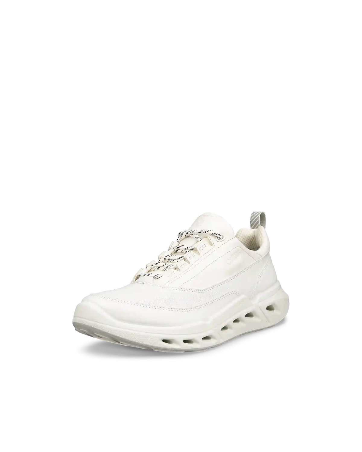ECCO Biom 720 Gore-Tex