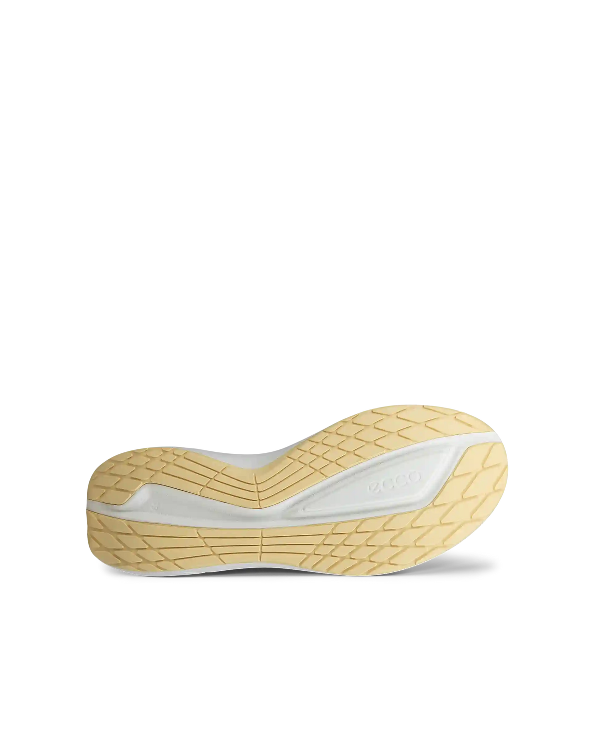 ECCO Biom 2.2