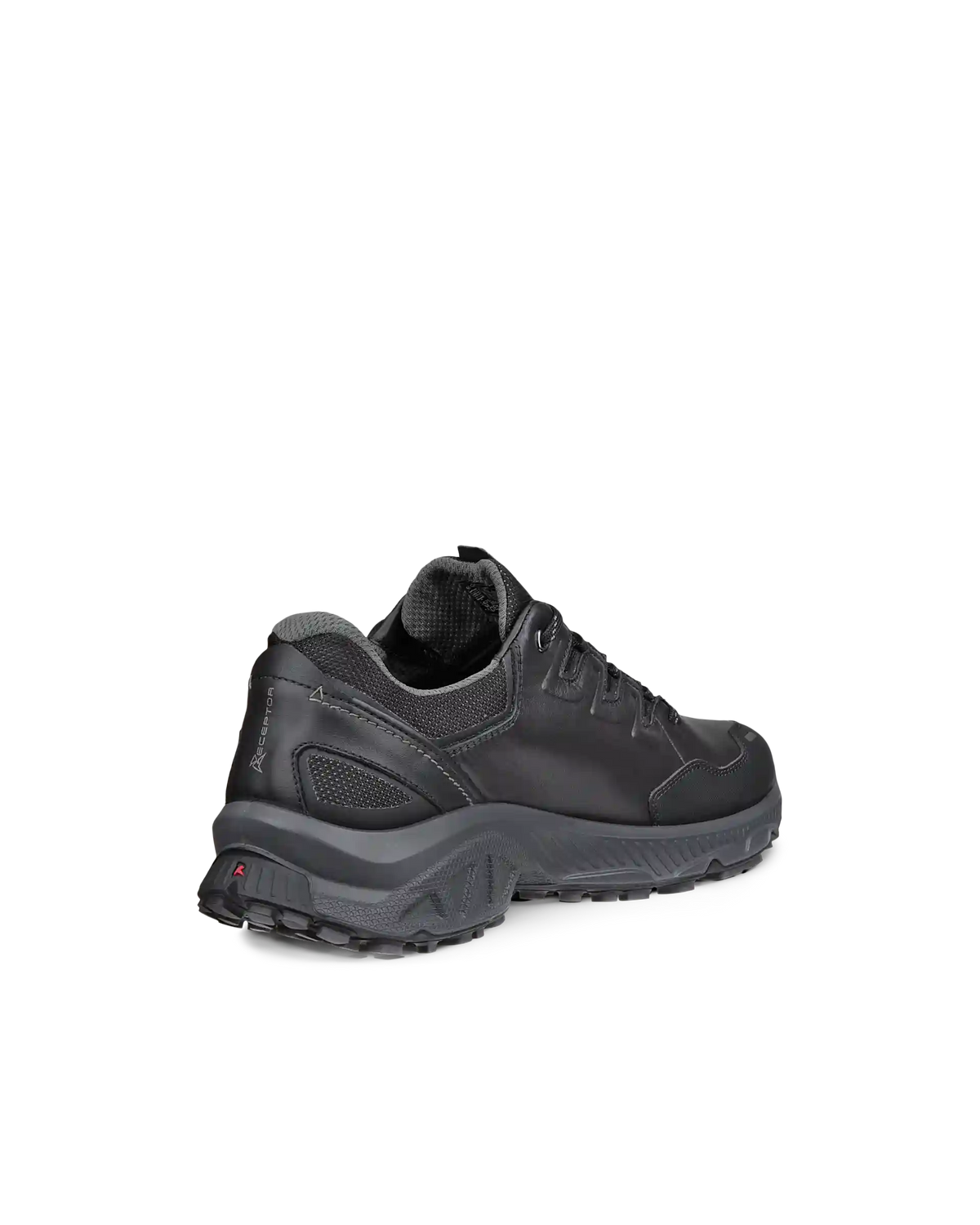 ECCO Receptor XP