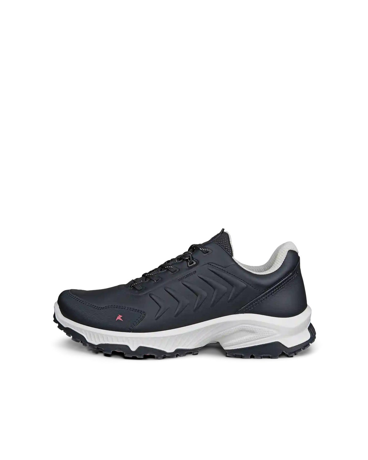 ECCO Receptor XP