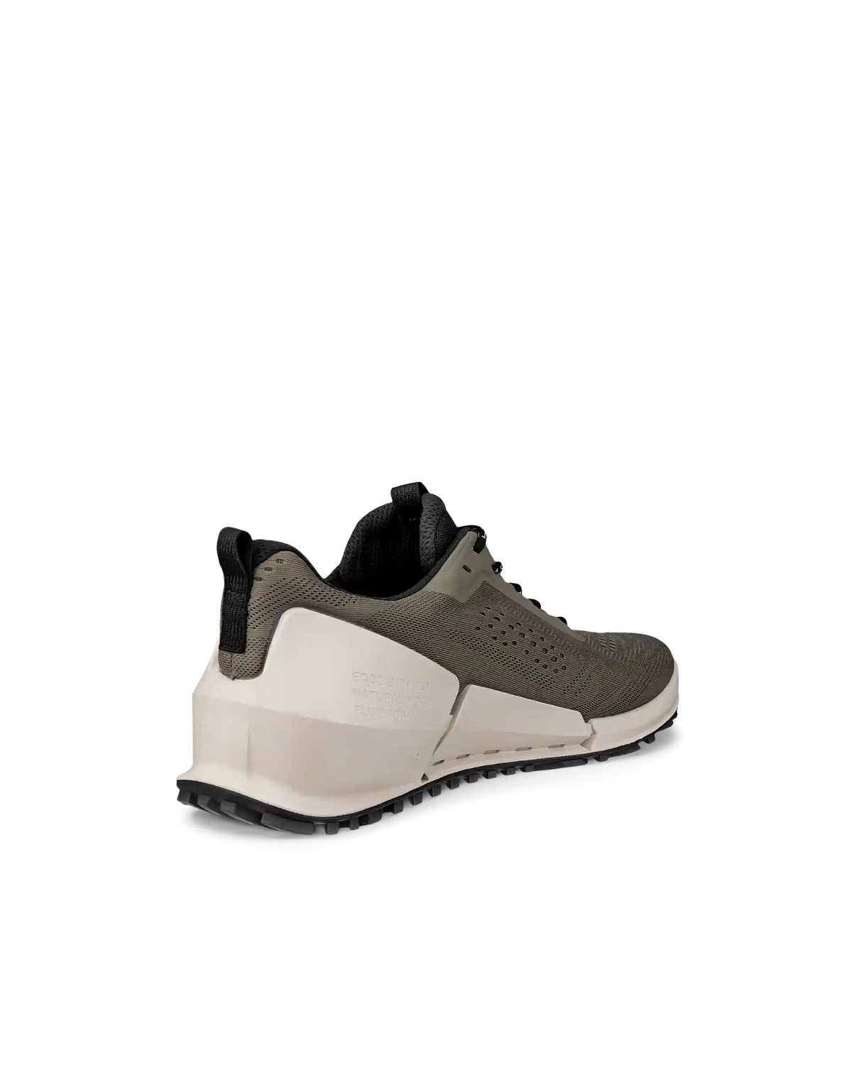 ECCO Biom 2.0