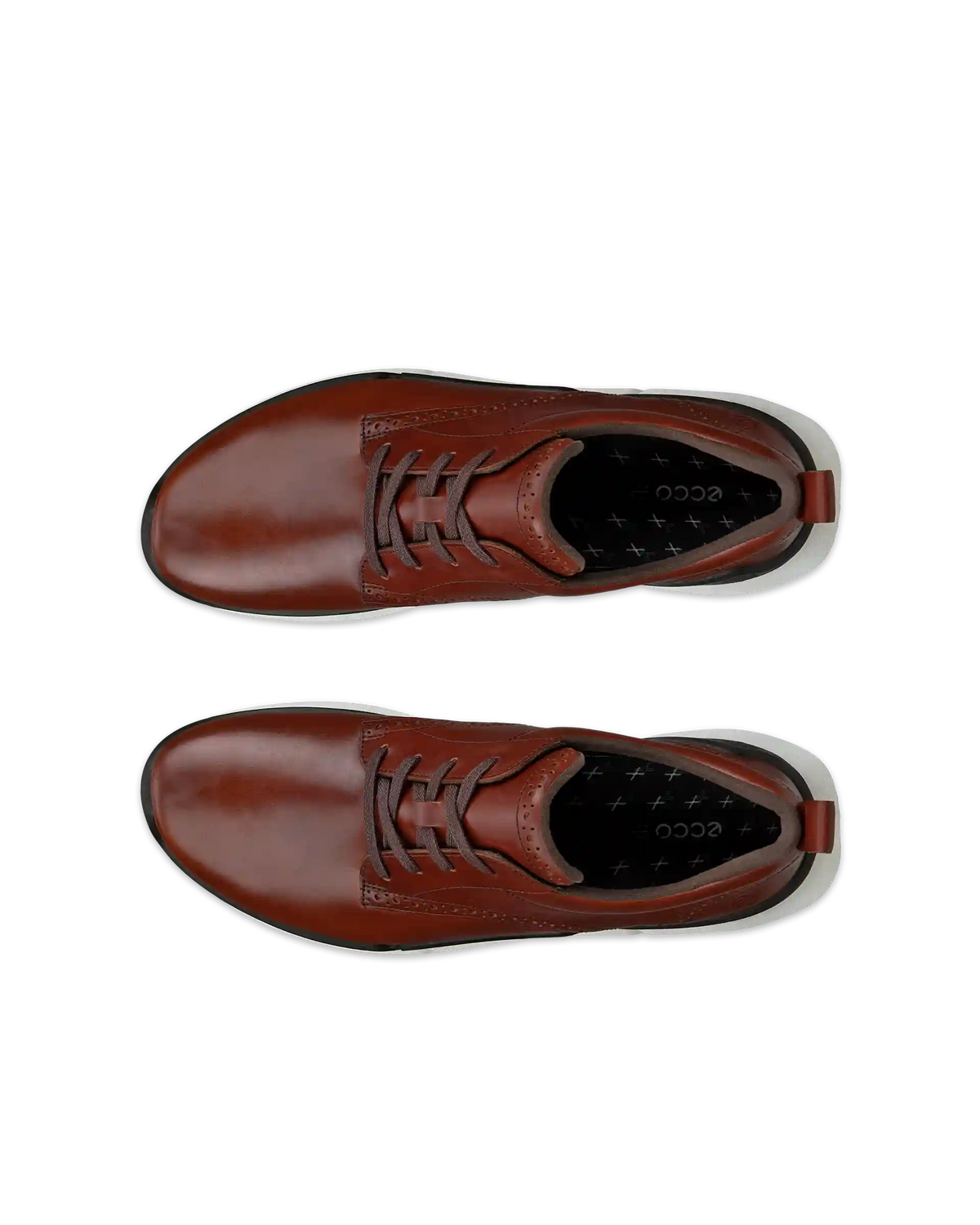 ECCO Biom 2.2