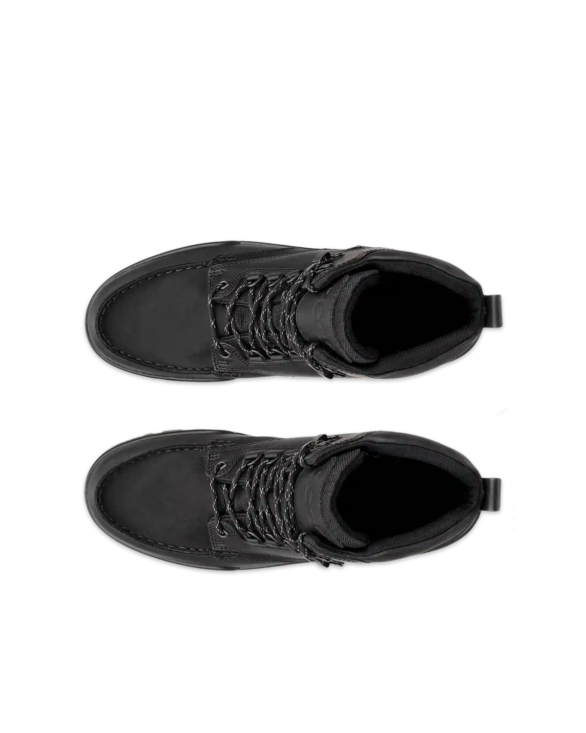 ECCO Track 25
