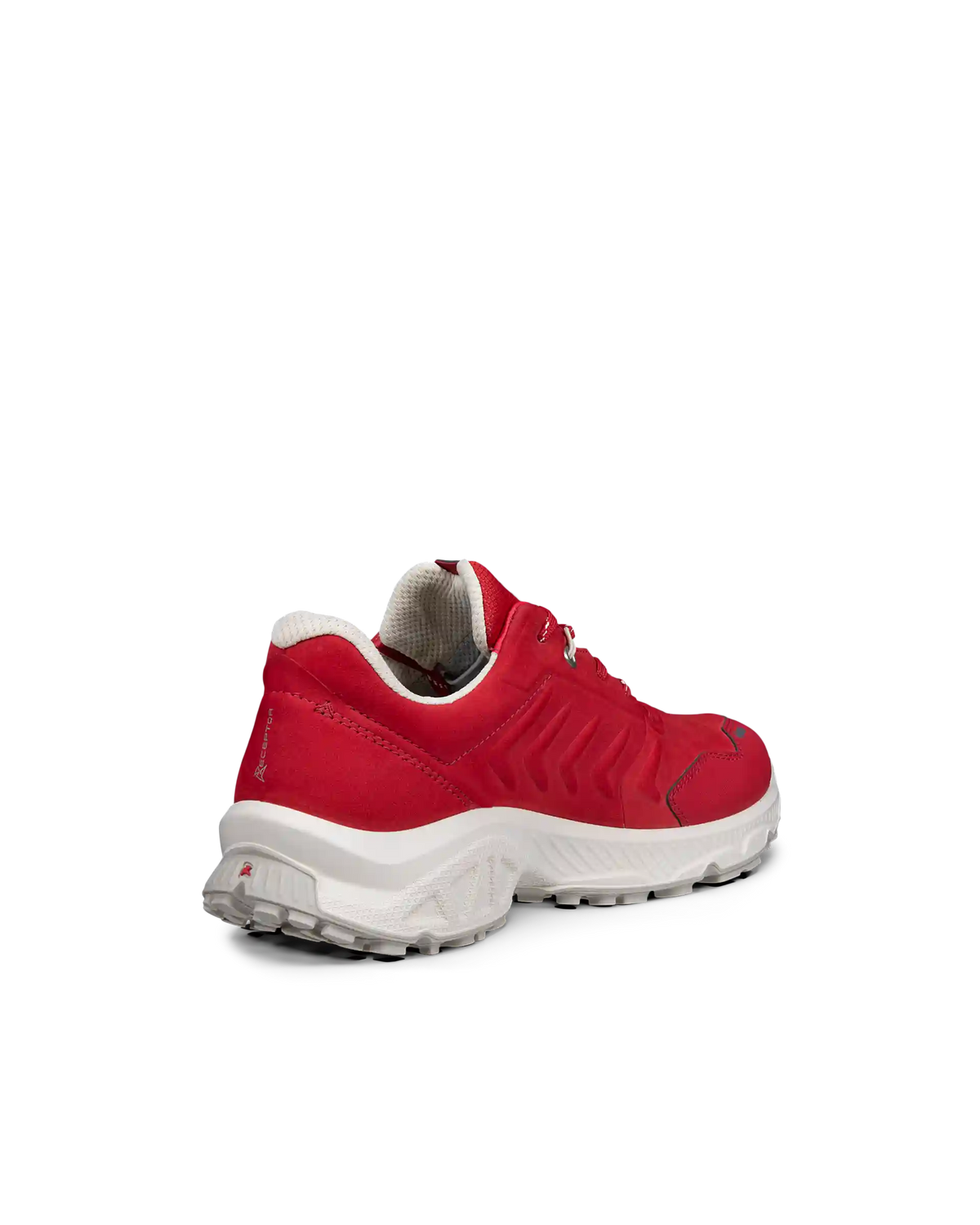 ECCO Receptor XP