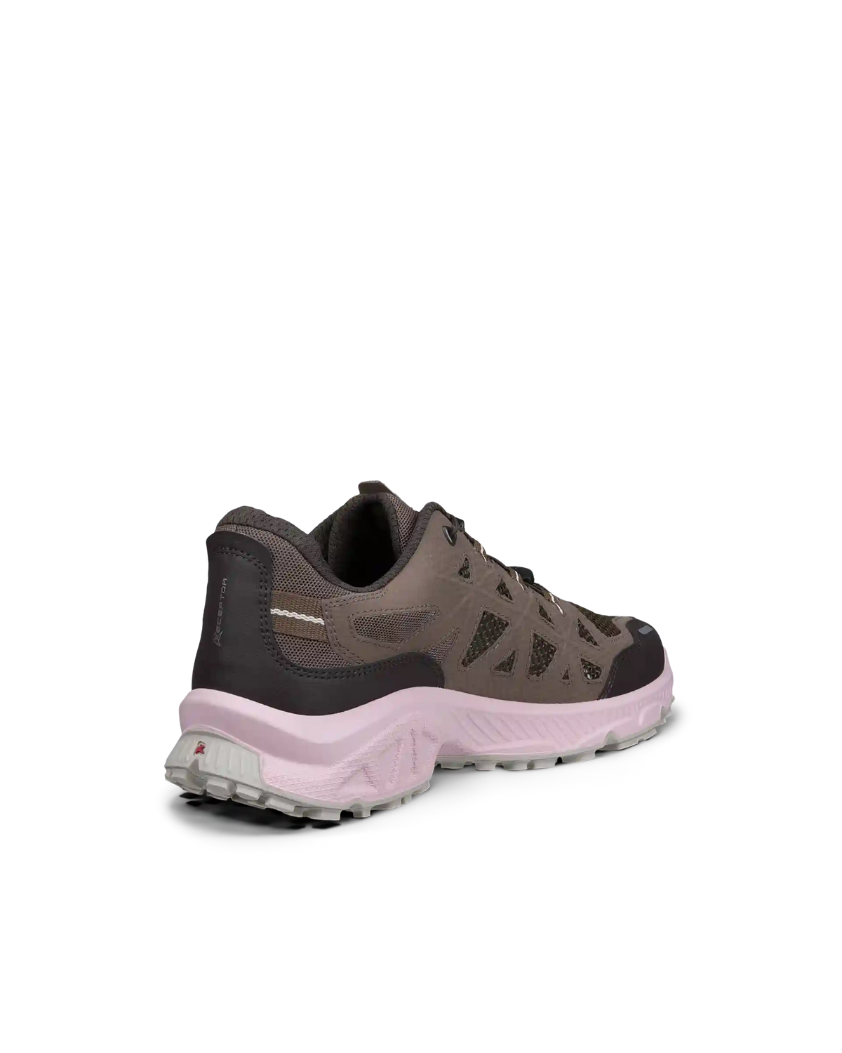 ECCO Receptor XP