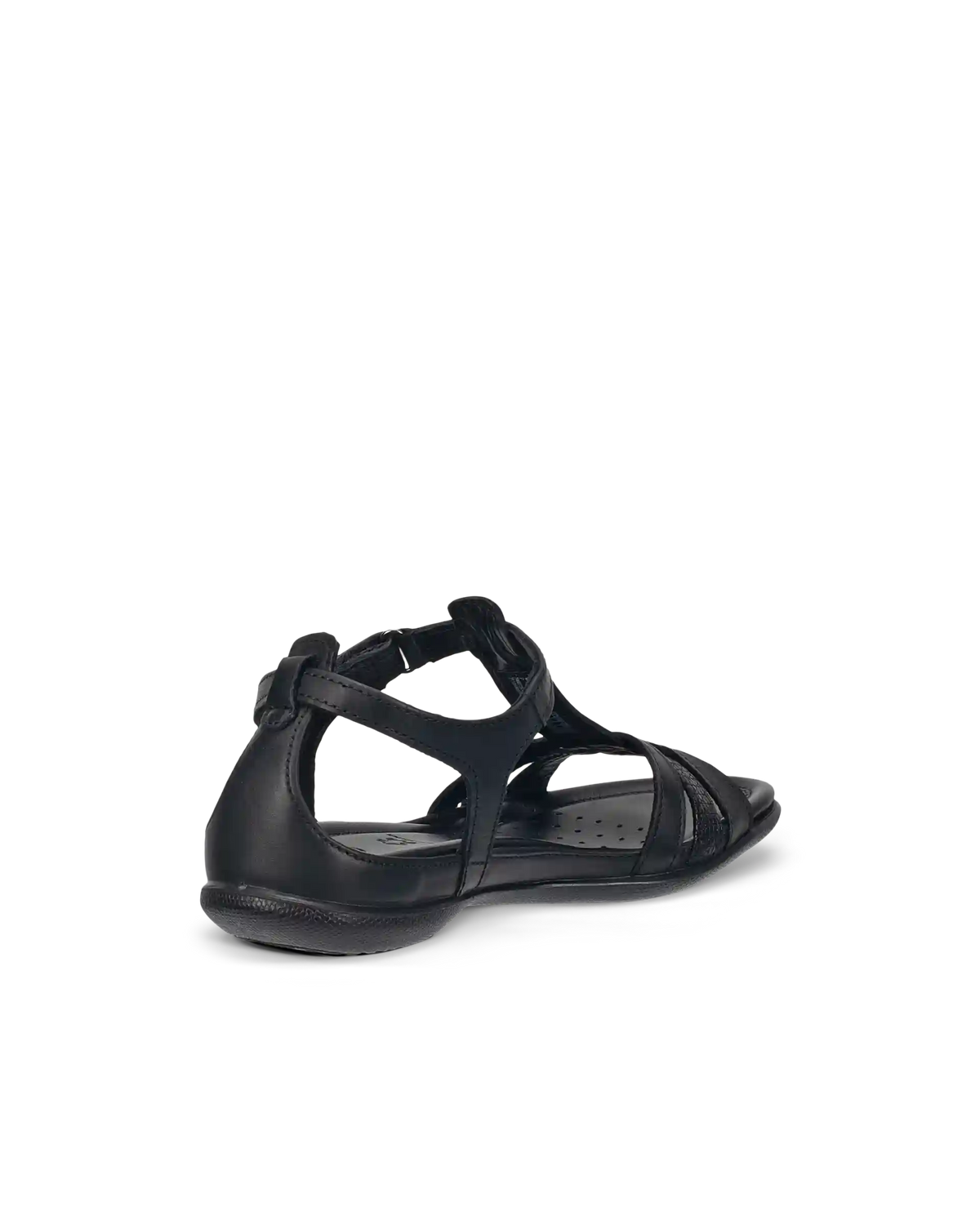 ECCO Flash