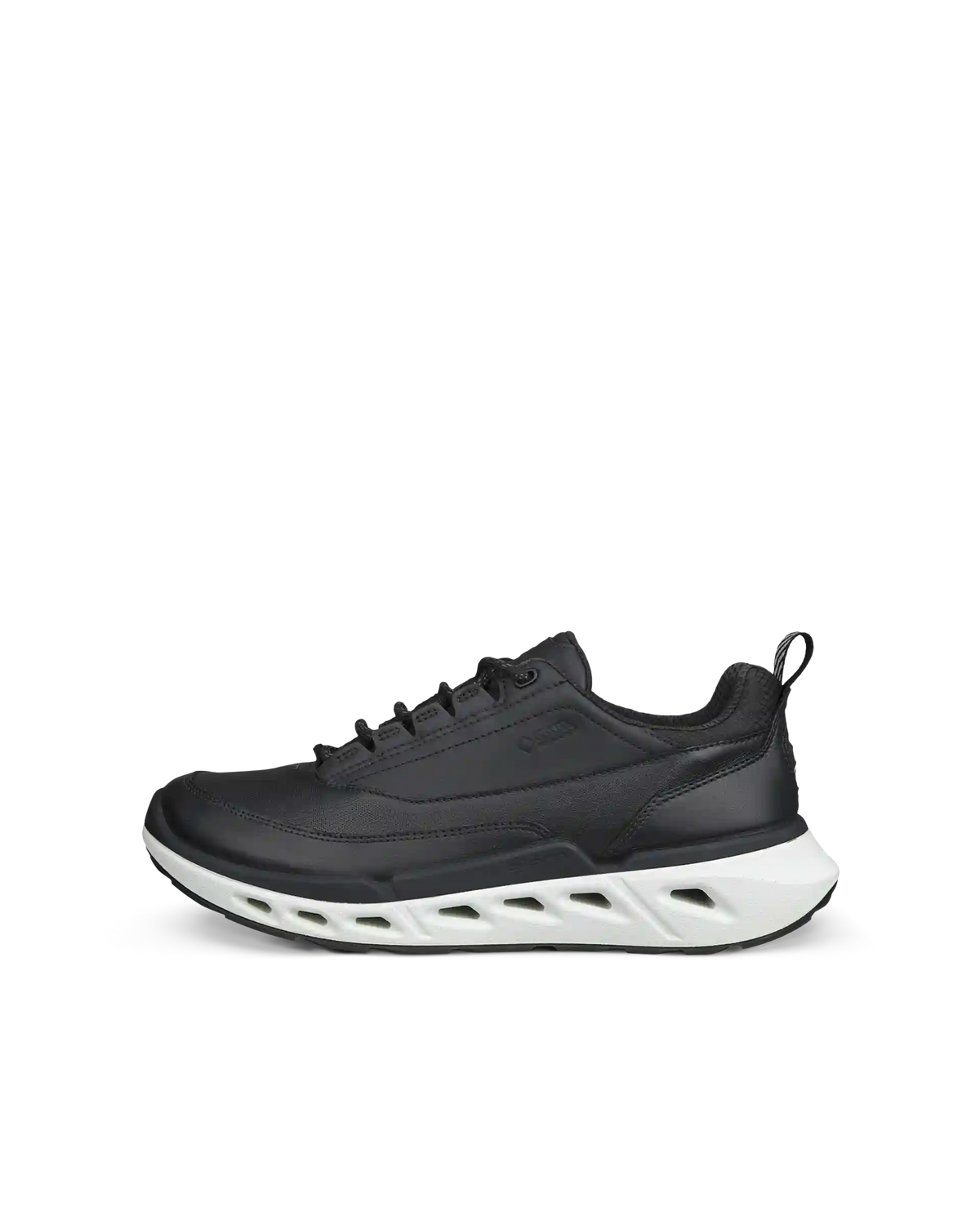 ECCO Biom 720 Gore-Tex