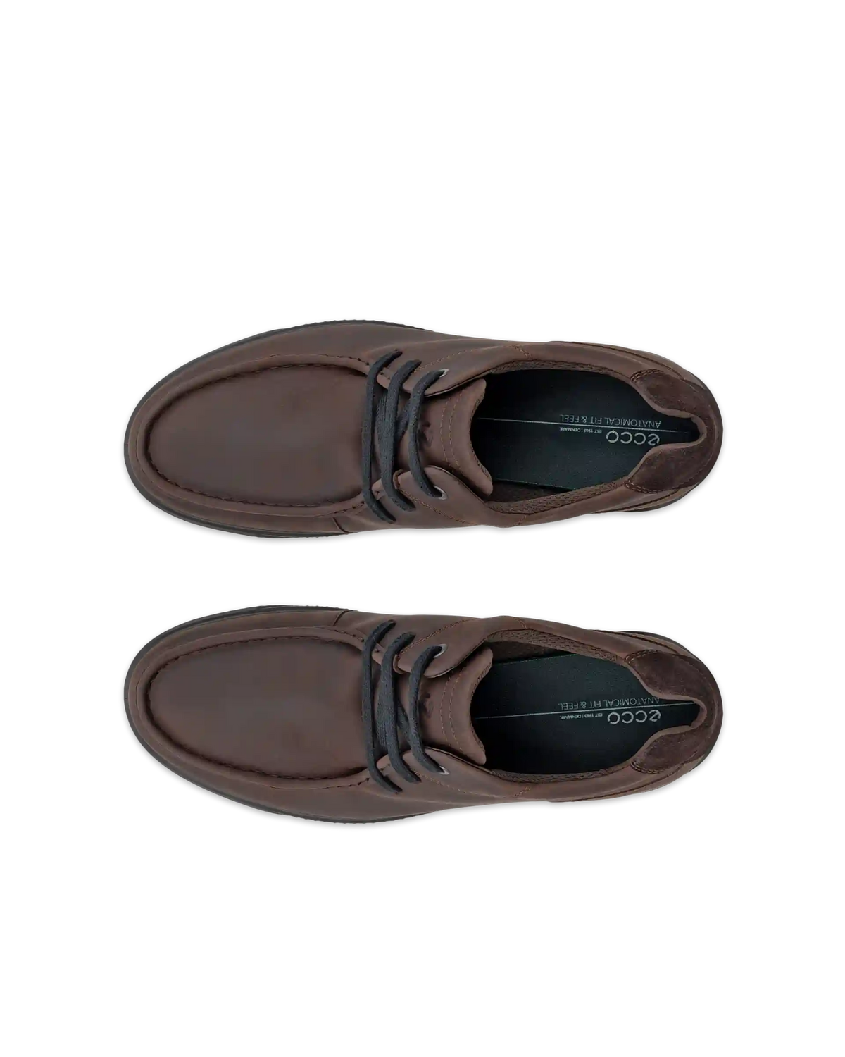 ECCO Byway