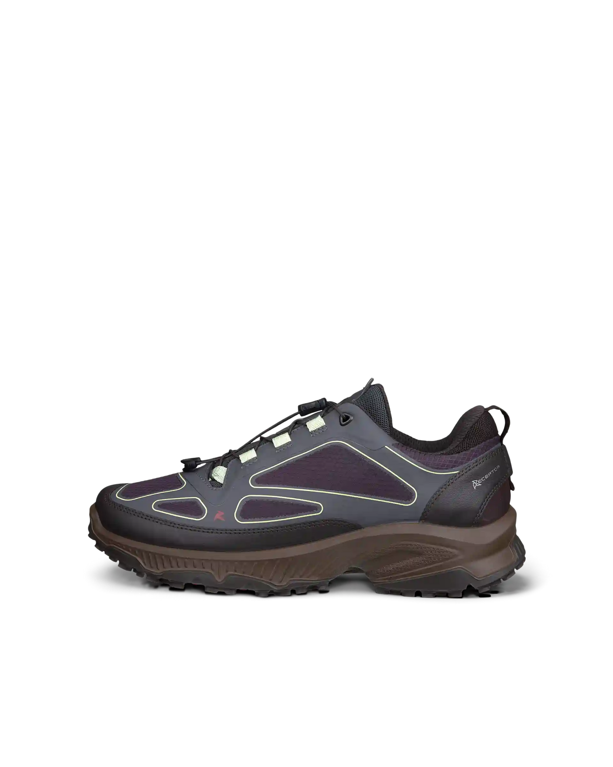 ECCO Receptor XP