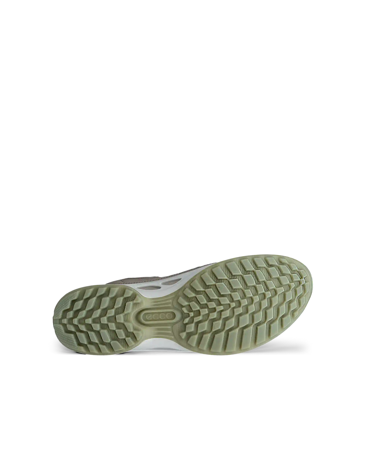 ECCO Biom Energi