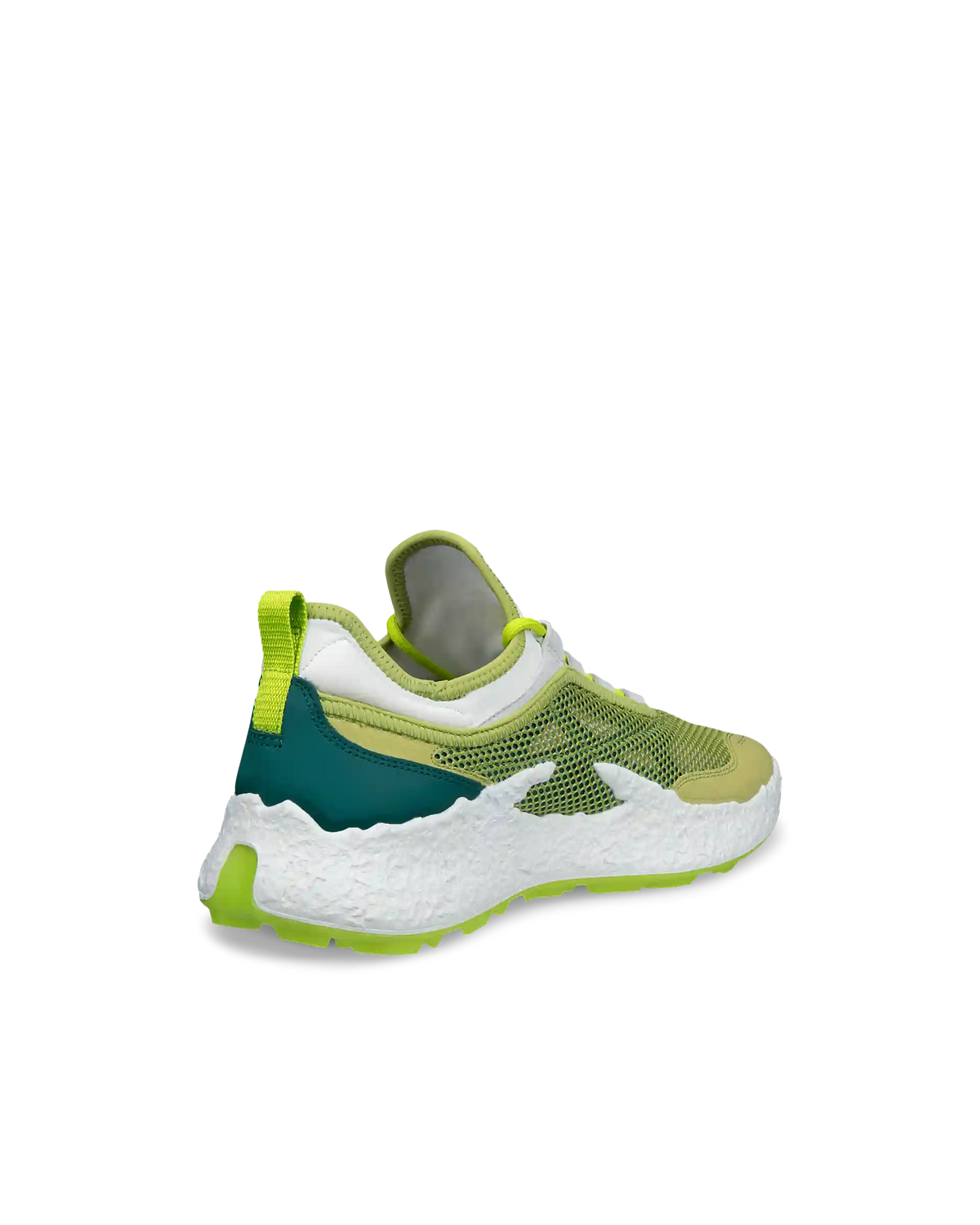 ECCO Golf Biom H5