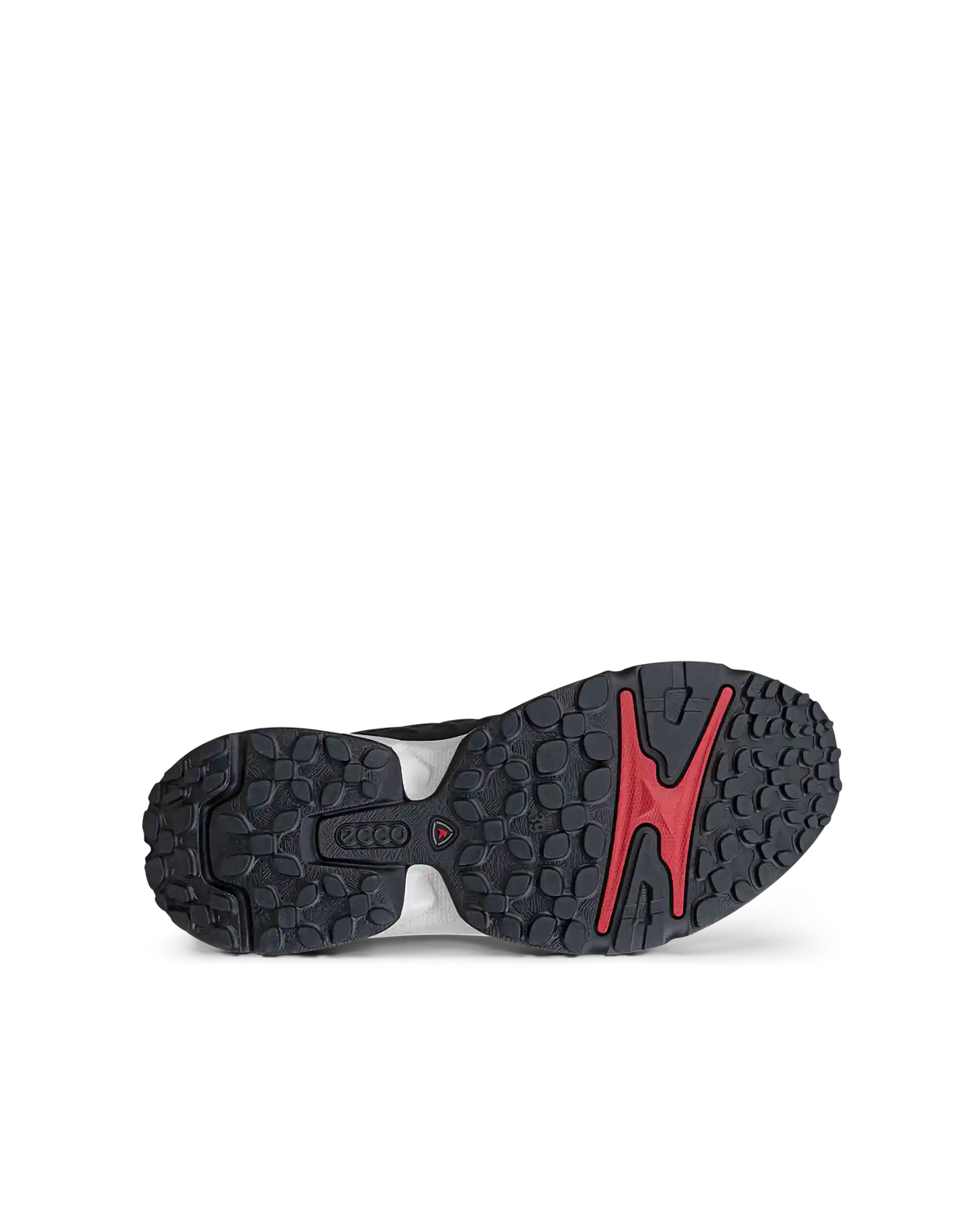 ECCO Receptor XP