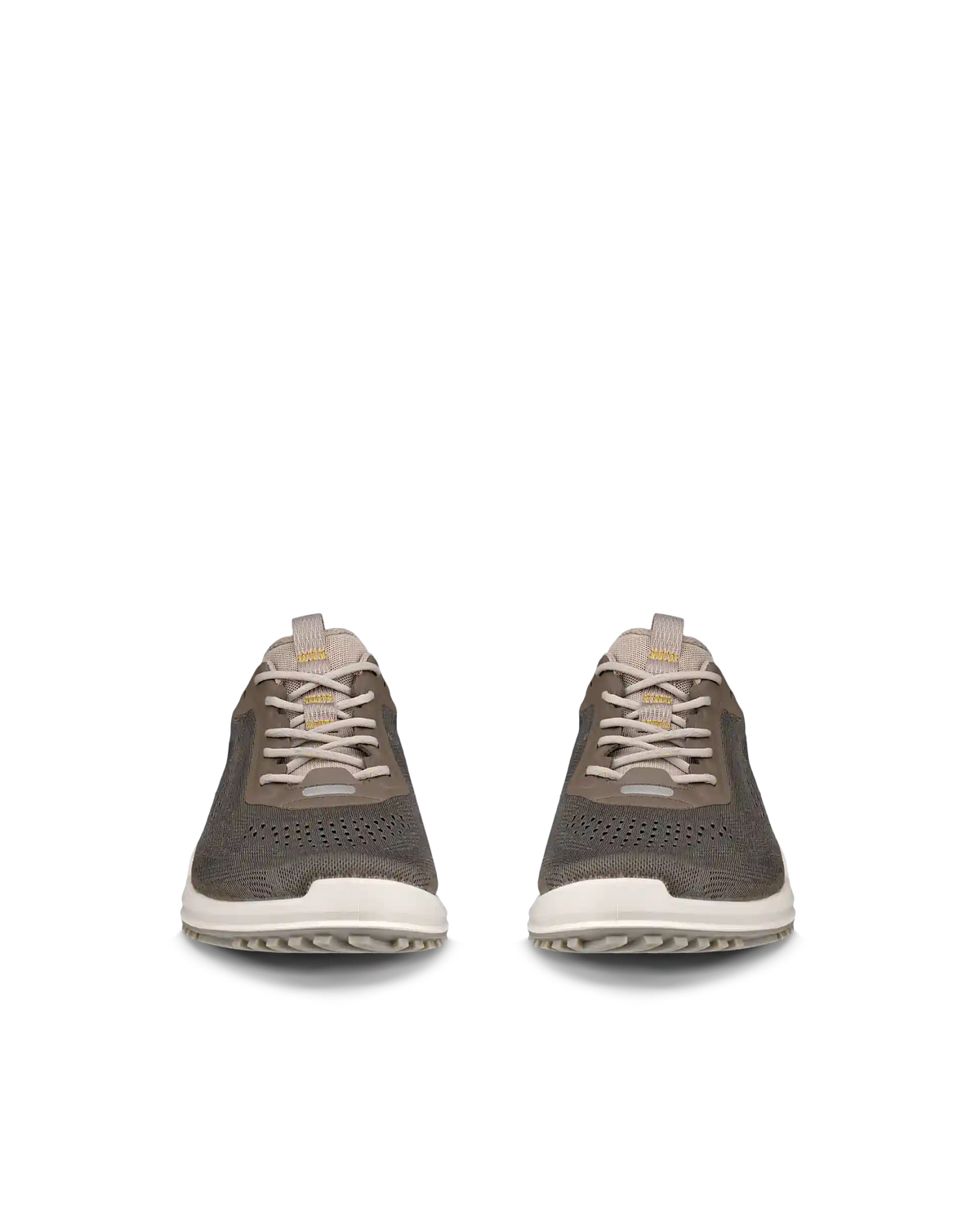 ECCO Biom 2.0