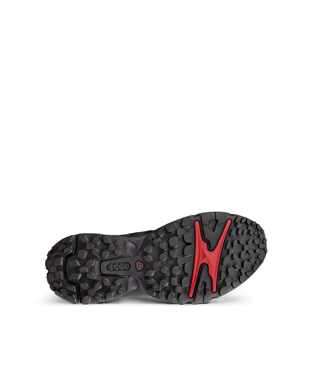 ECCO Receptor XP