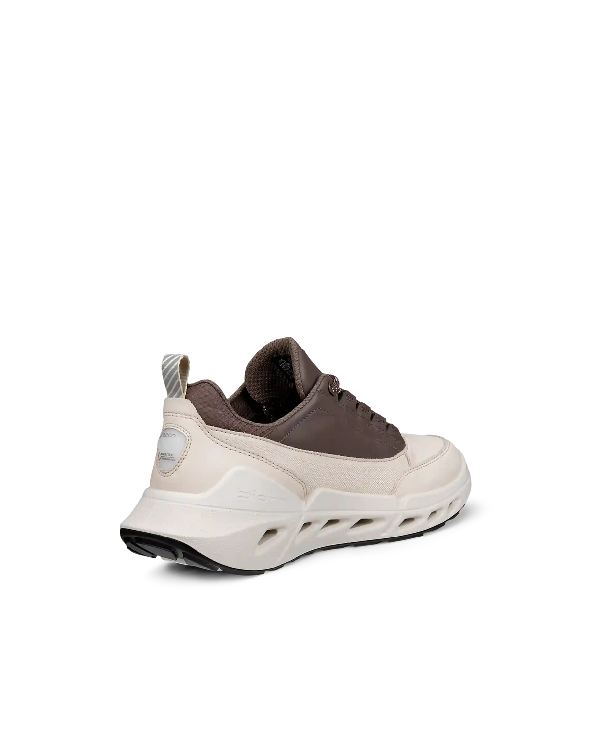 ECCO Biom 720 Gore-Tex