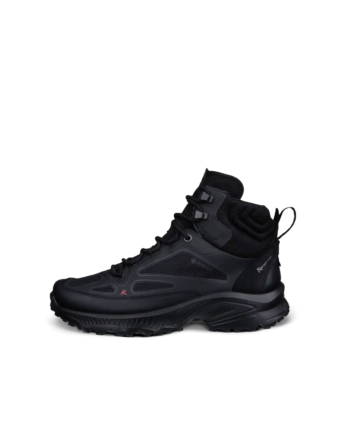 ECCO Receptor Xp