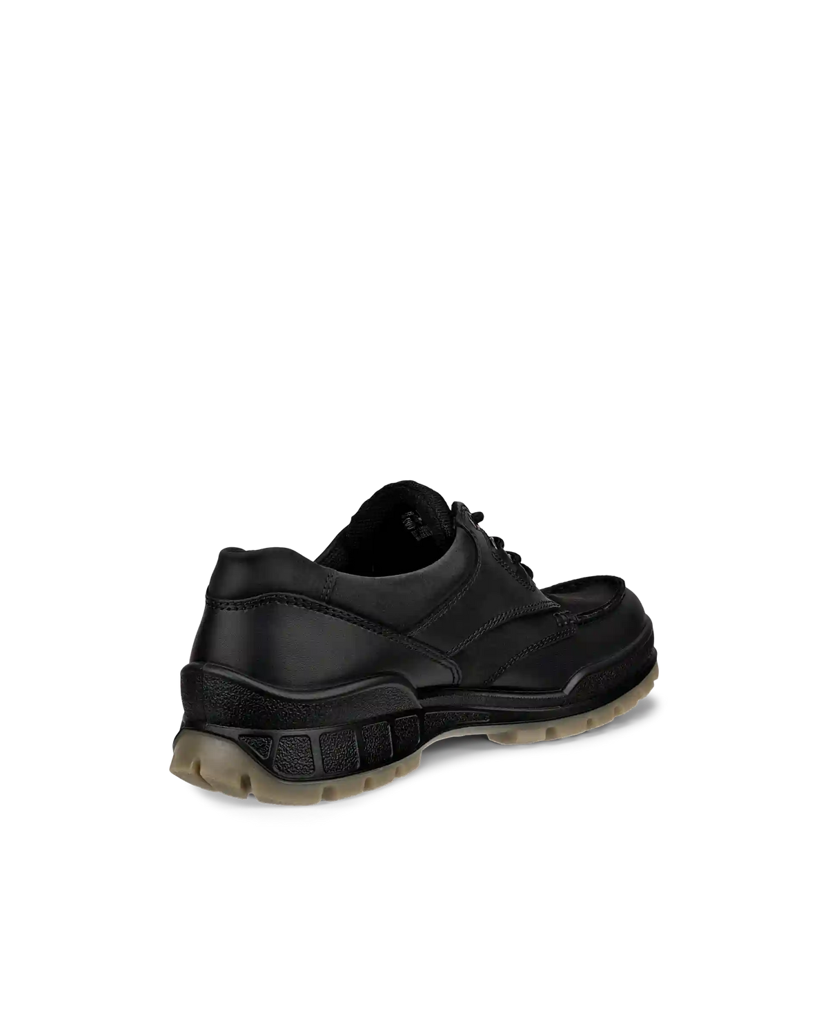 ECCO Track 25