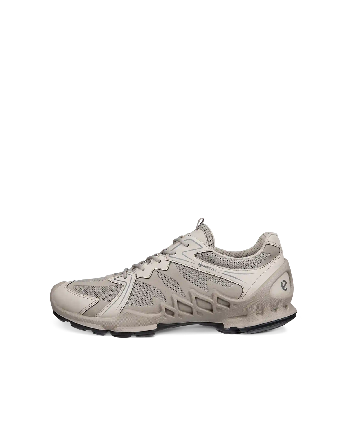 ECCO Biom Aex