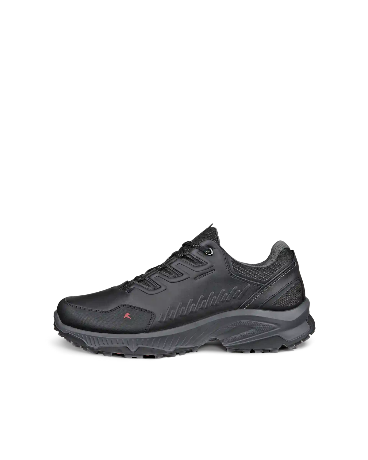 ECCO Receptor XP