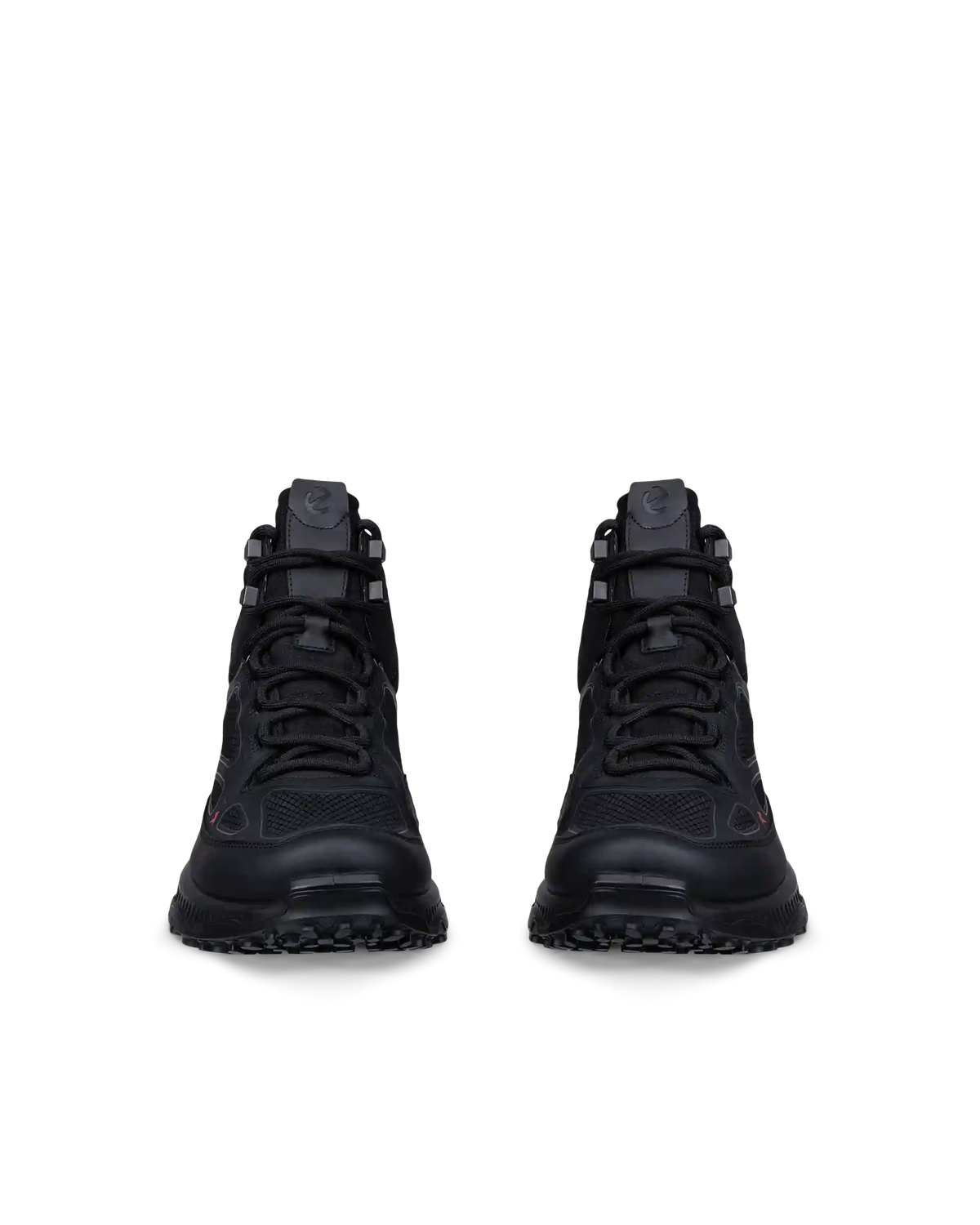 ECCO Receptor Xp