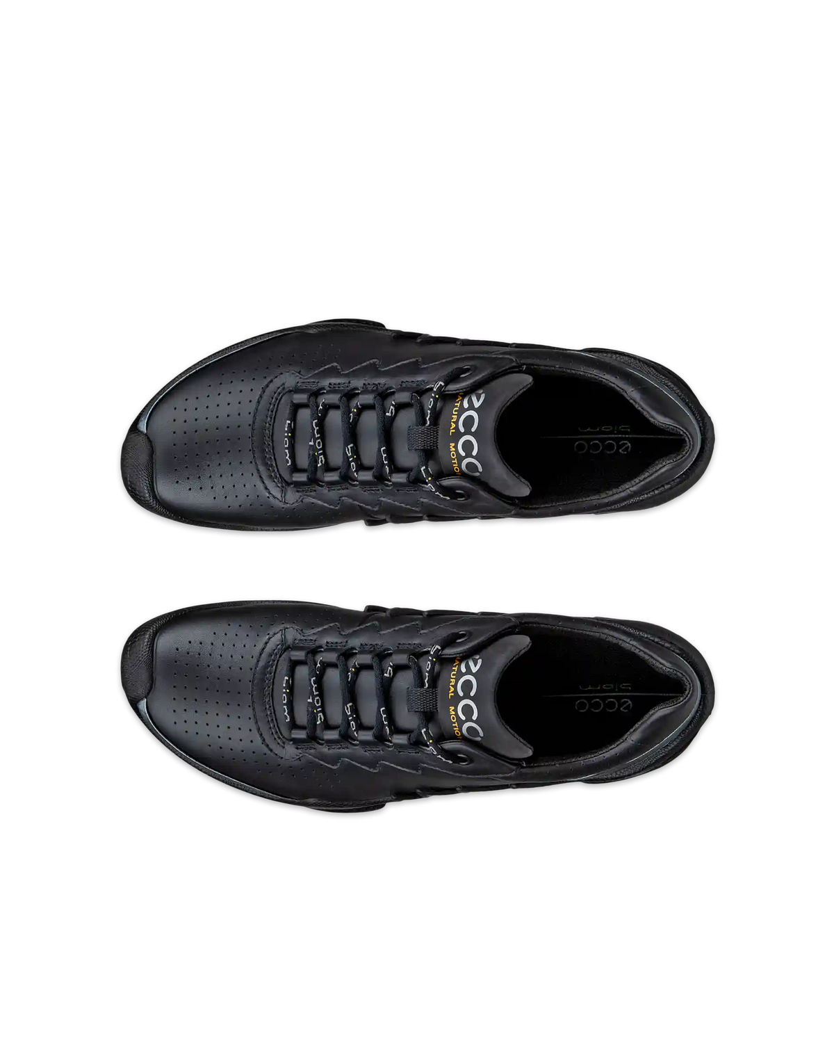 ECCO Biom Aex