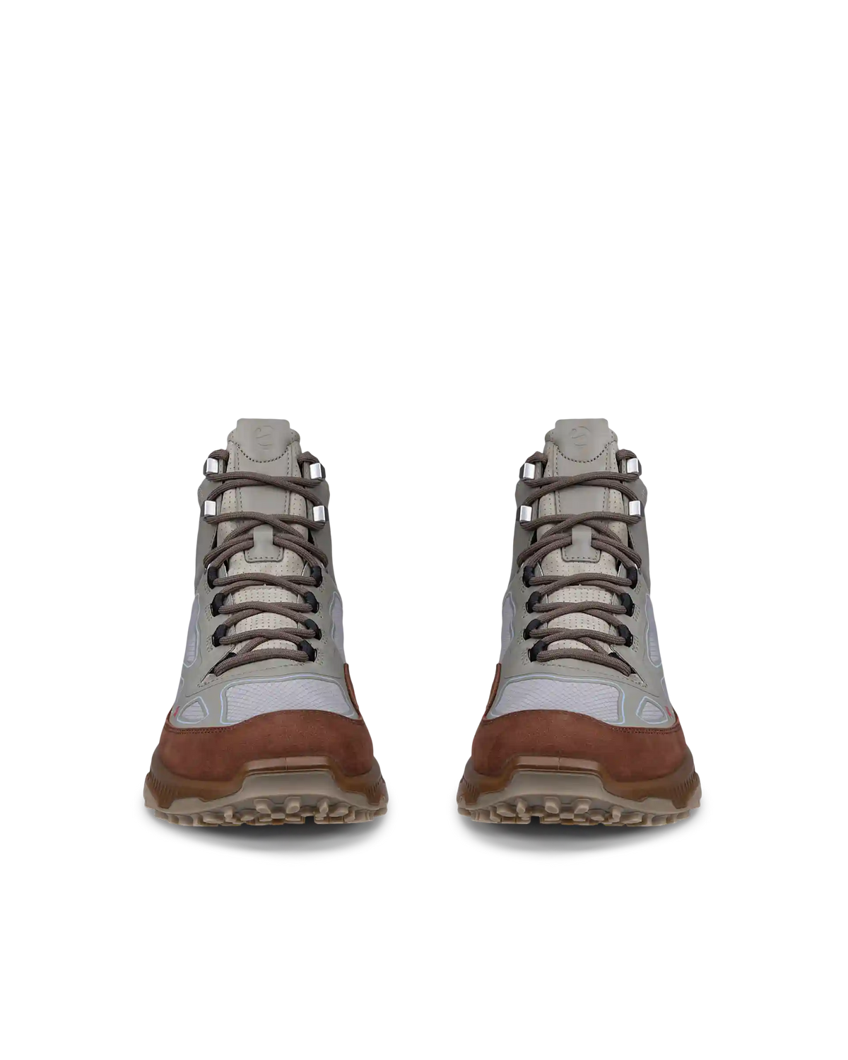 ECCO Receptor Xp