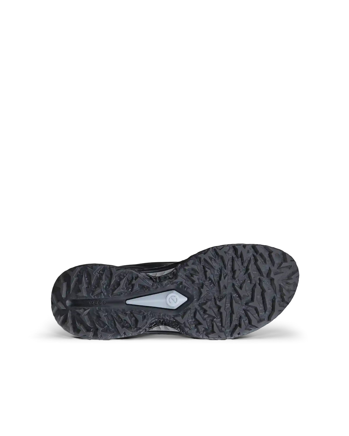 ECCO Golf Biom C5