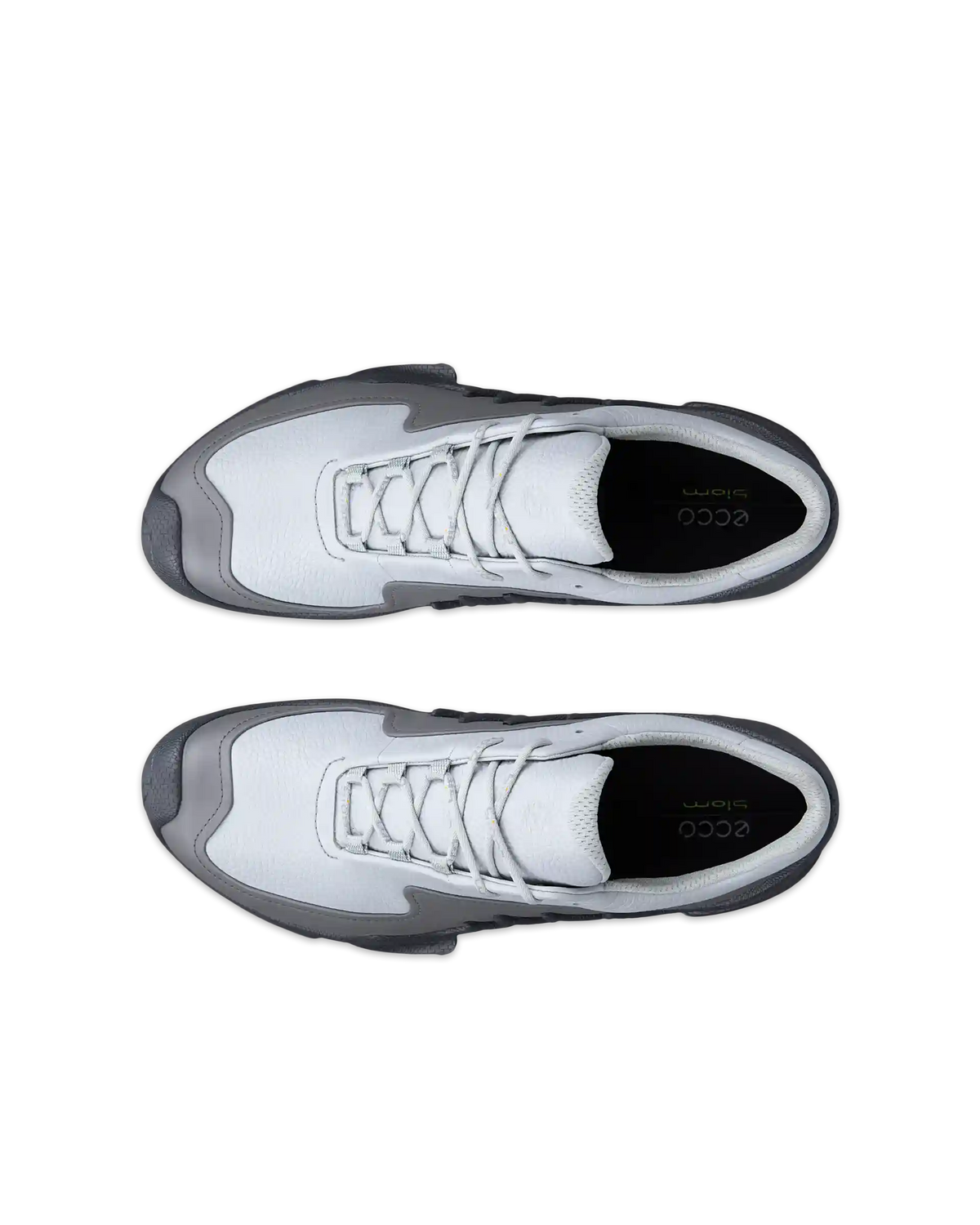 ECCO Biom Aex