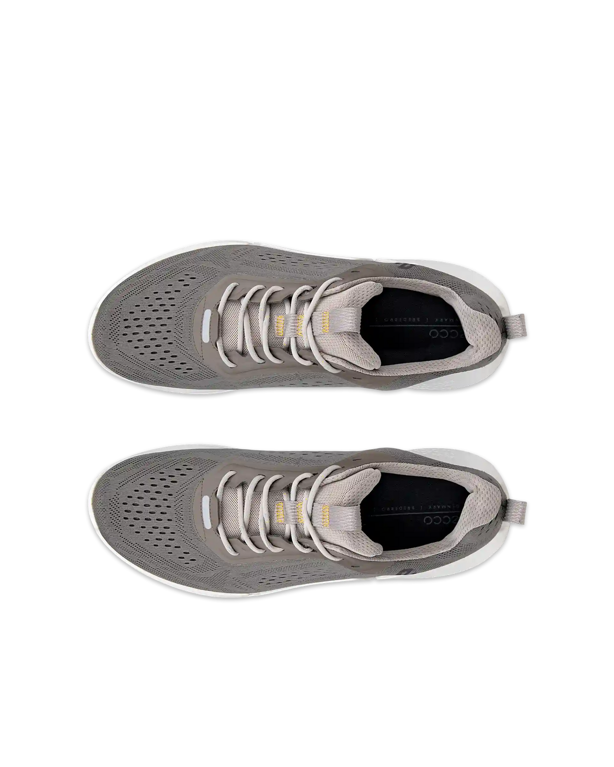 ECCO Biom 2.0