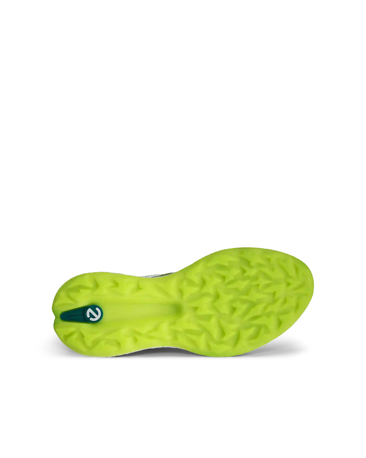 ECCO Golf Biom H5
