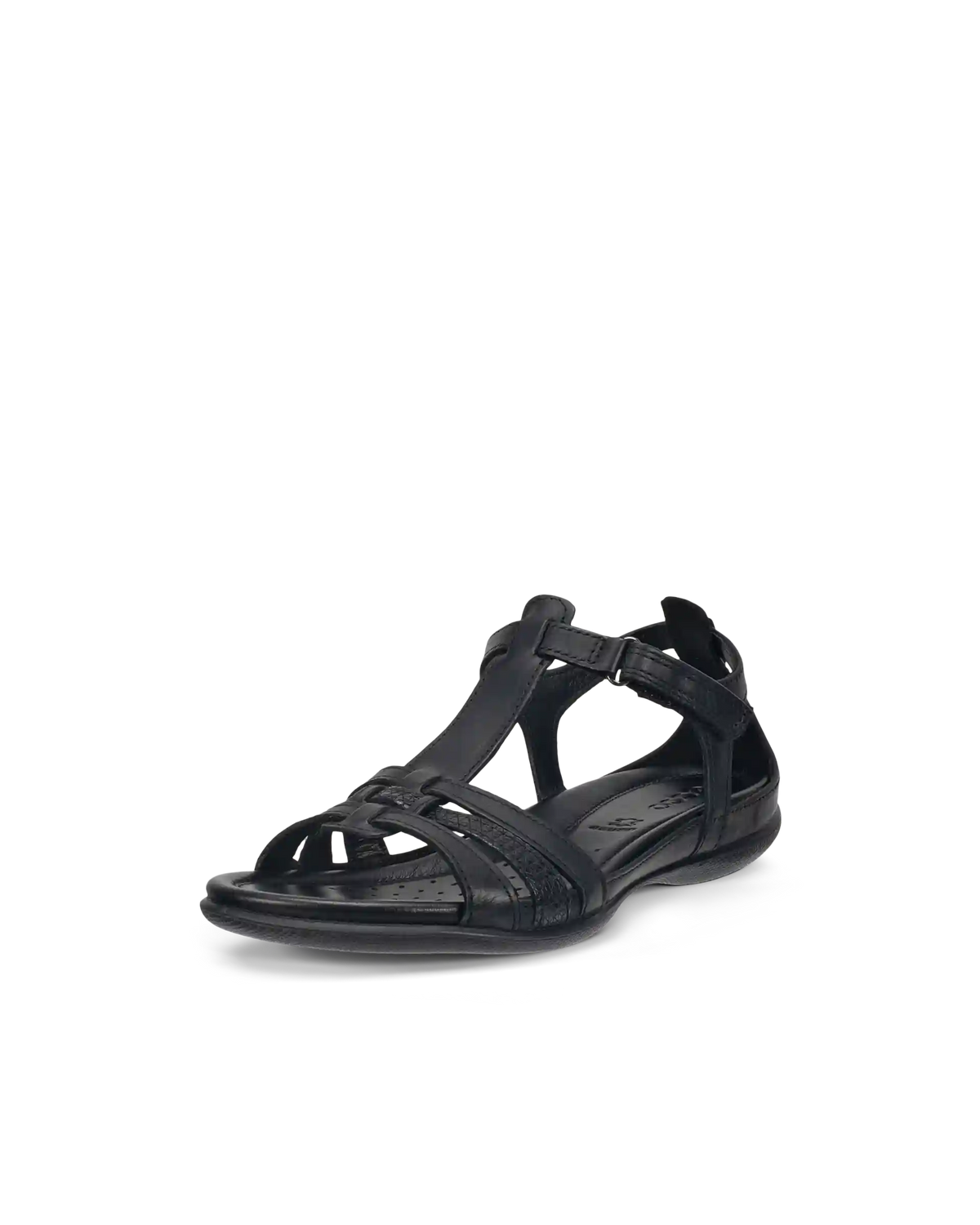 ECCO Flash