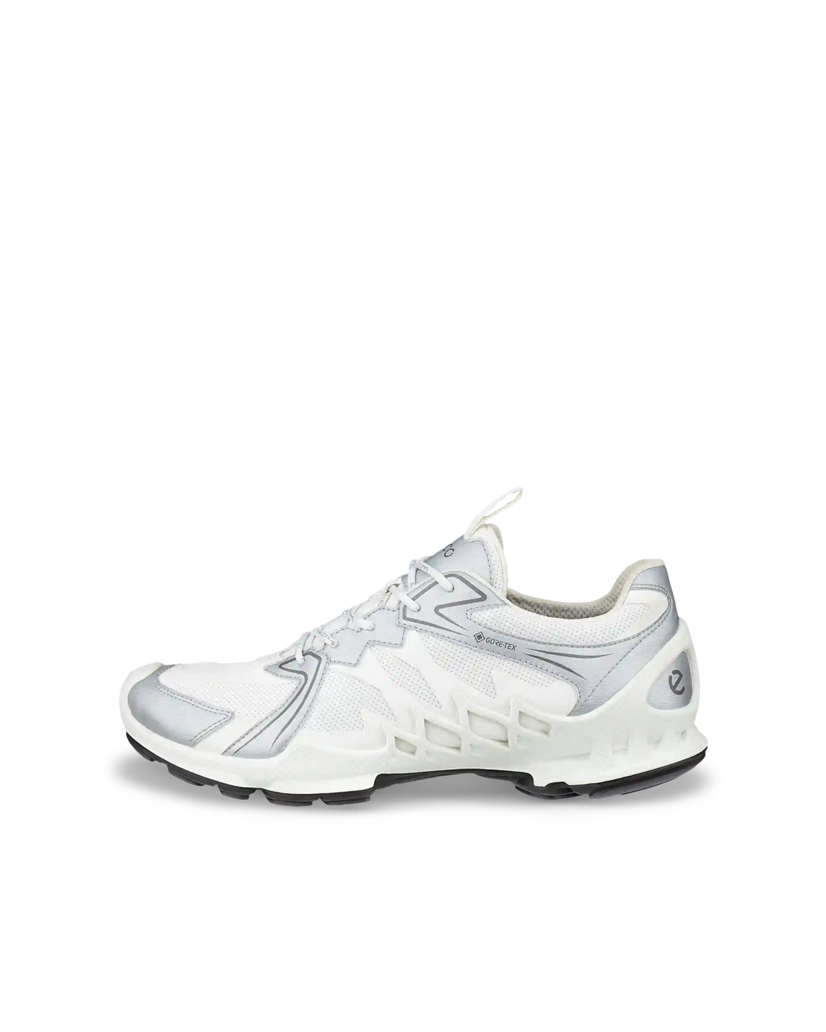 ECCO Biom Aex