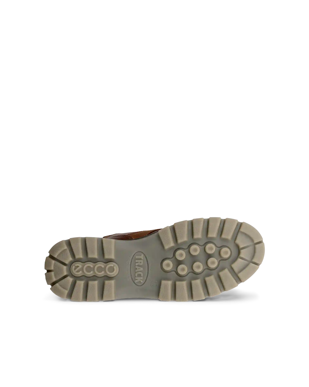 ECCO Track 25