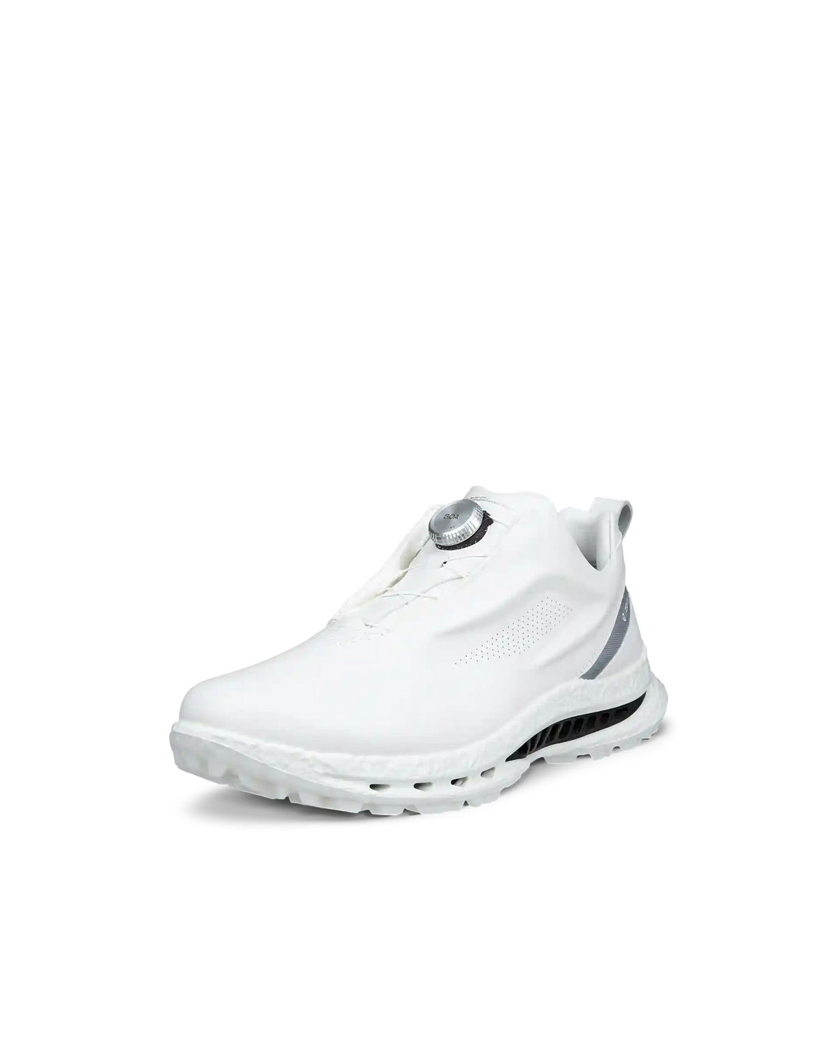 ECCO Golf Biom C5