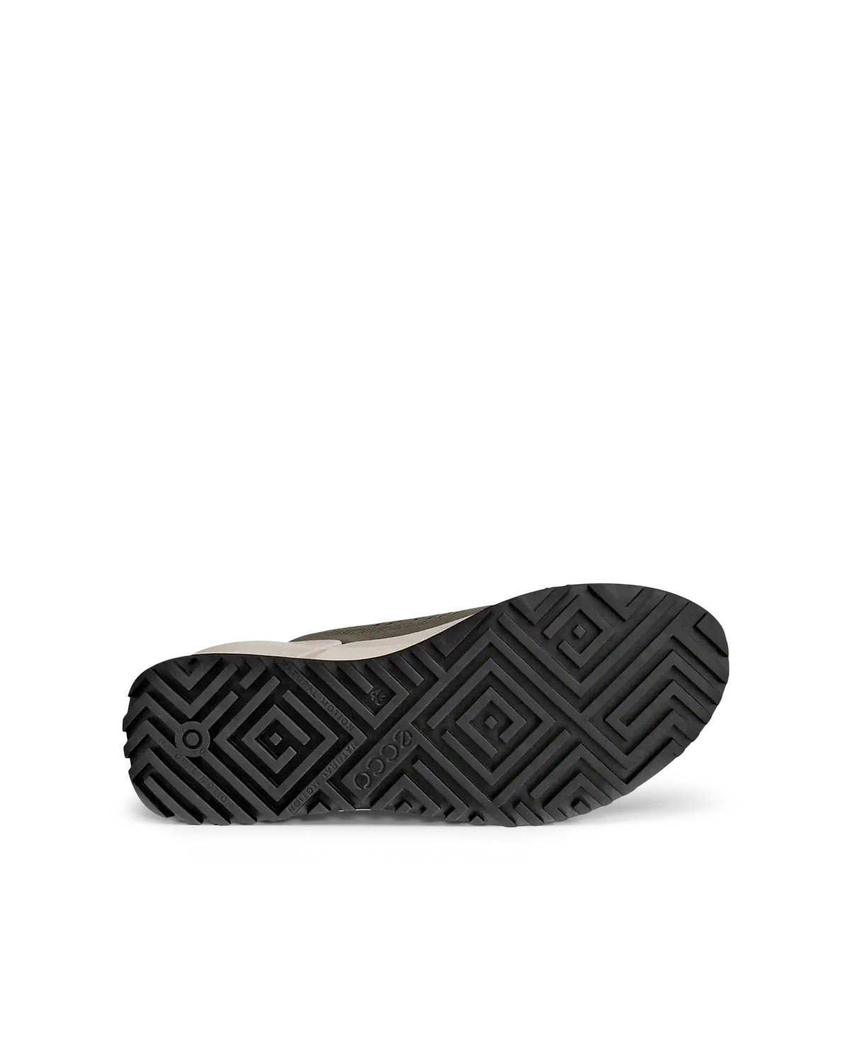 ECCO Biom 2.0