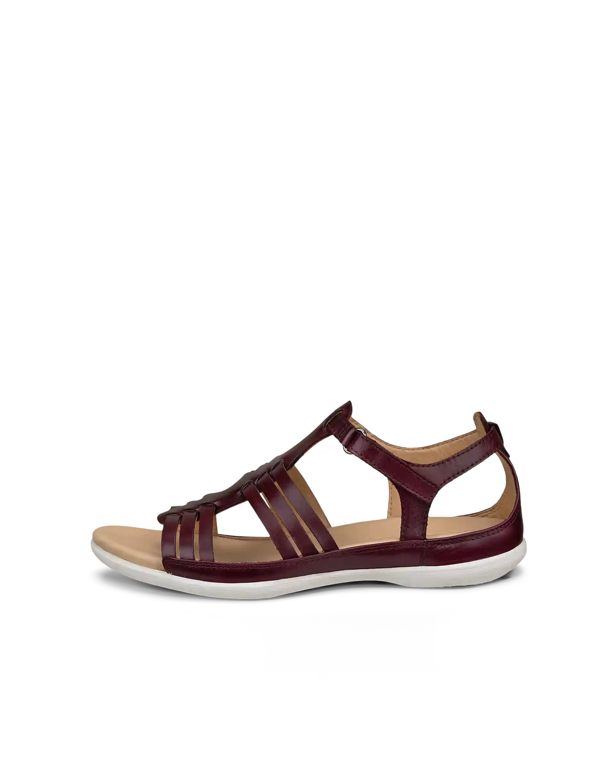 ECCO Flash