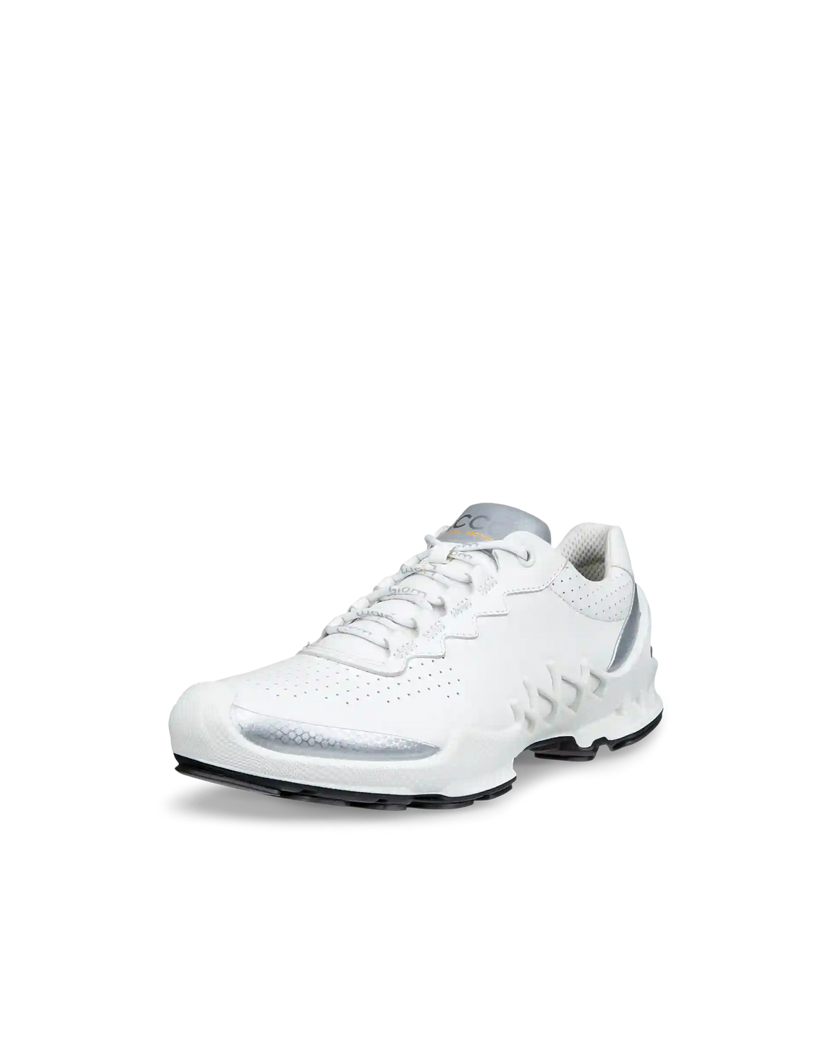 ECCO Biom Aex