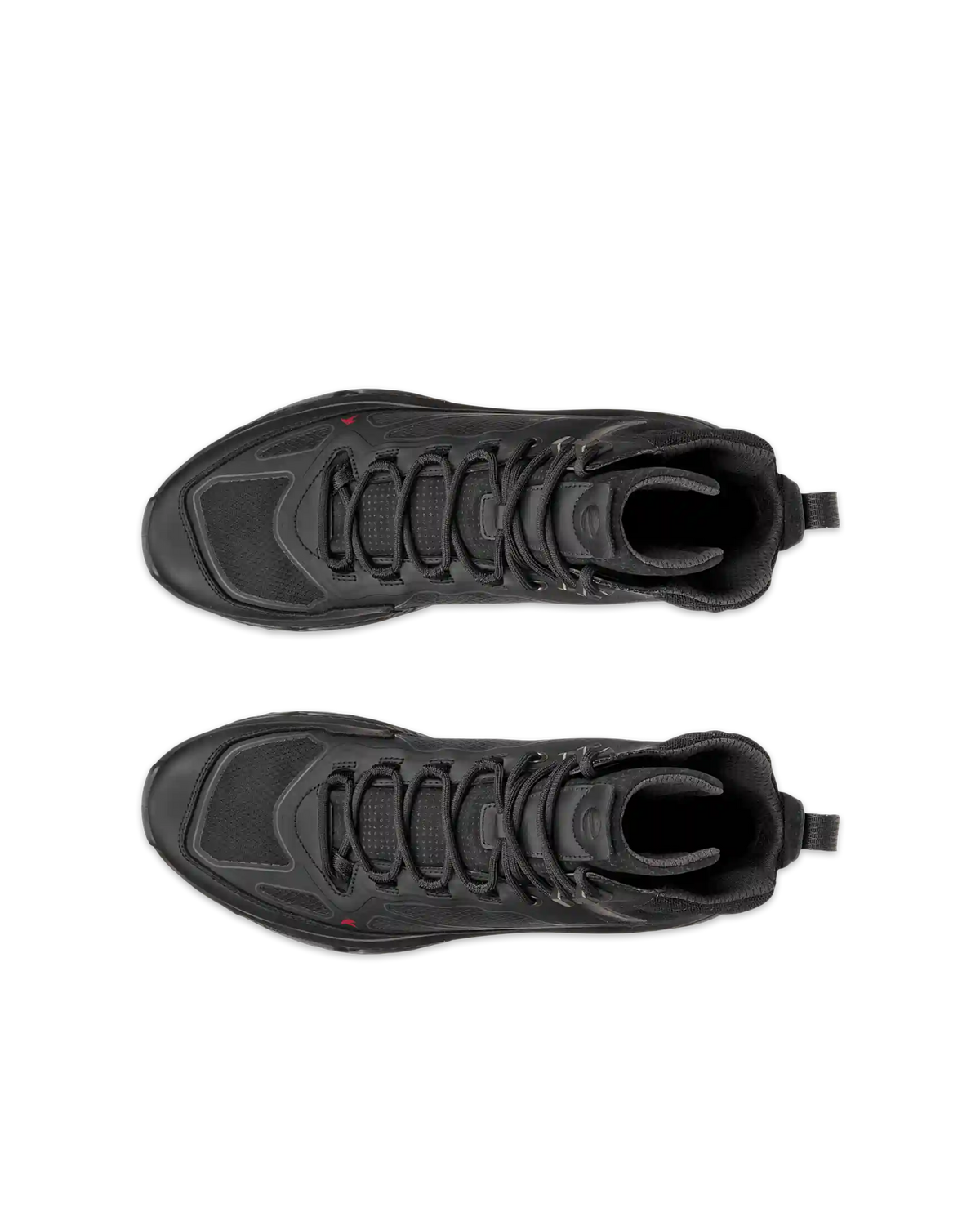 ECCO Receptor Xp