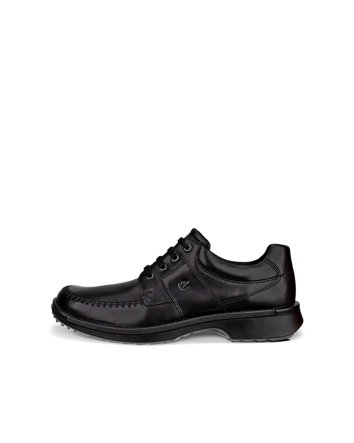 ECCO Fusion