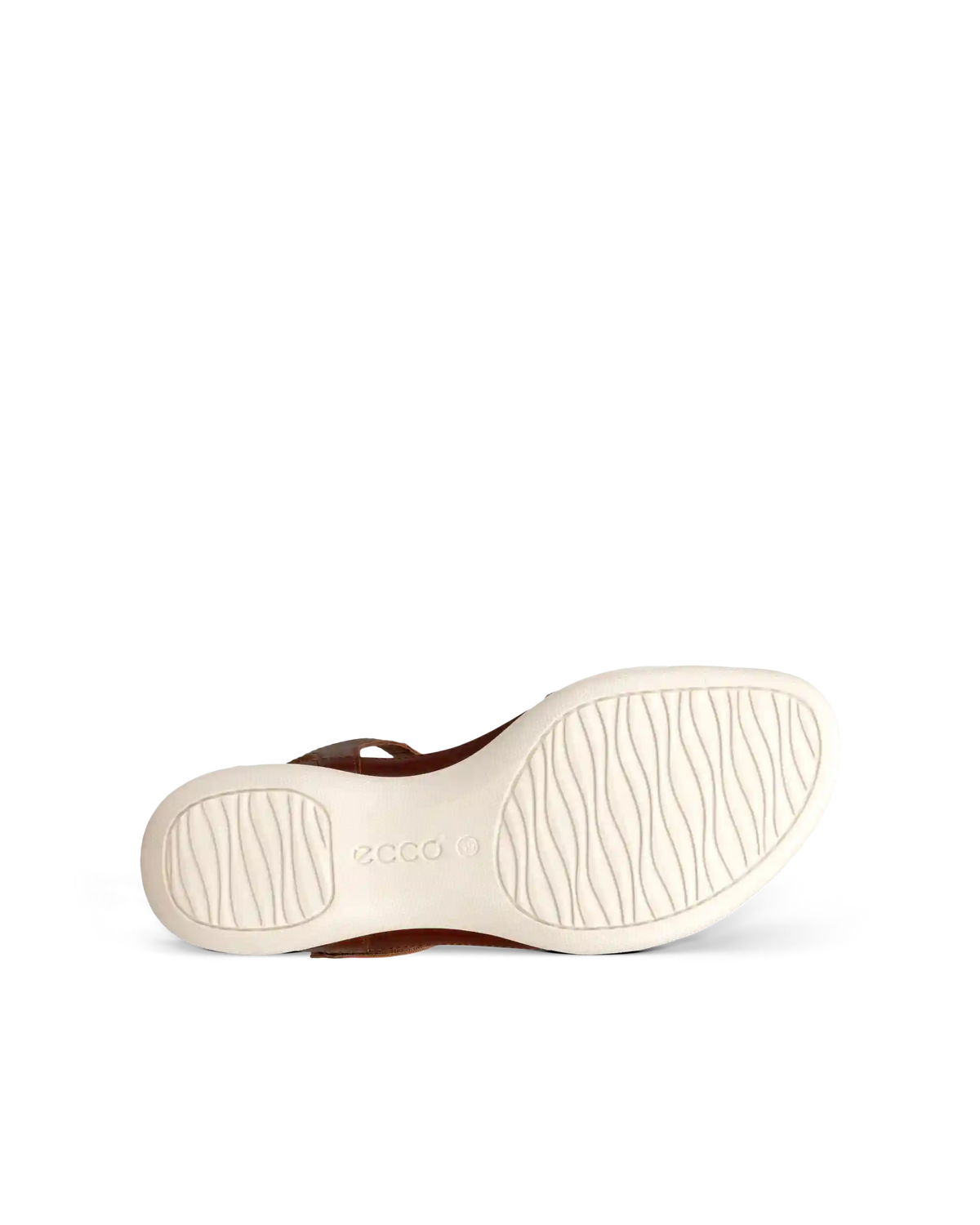 ECCO Flash