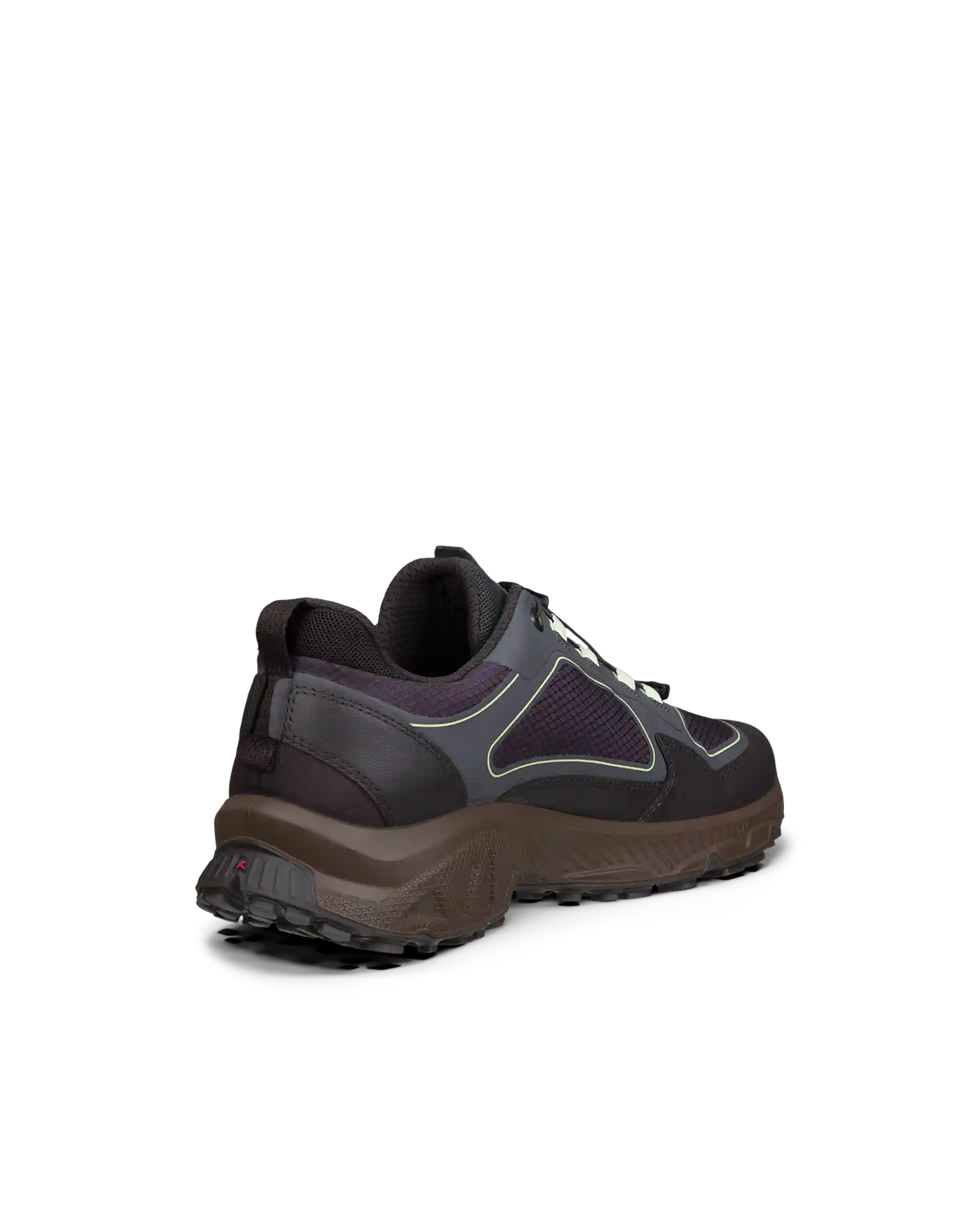 ECCO Receptor Xp